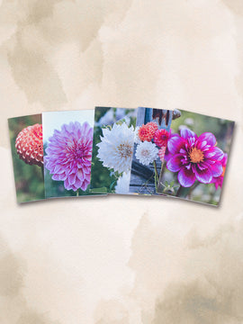 Dahlia Greeting cards - pack 3