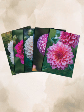 Dahlia Greeting cards - pack 4