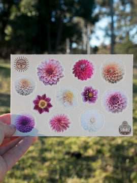 Dahlia Sticker sheet - Favourites - Waterproof vinyl