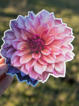 Dahlia Sticker Large - Everbloom Chakra - Matte waterproof vinyl
