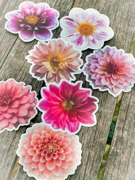 Dahlia Stickers Medium - Waterproof vinyl - multiple designs