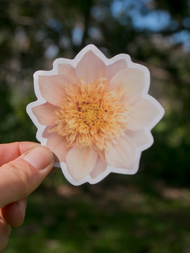 Dahlia Stickers Medium - Waterproof vinyl - multiple designs