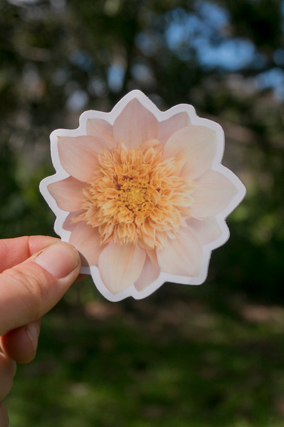 NEW Dahlia Sticker Medium - Everbloom Lioness - Matte waterproof vinyl