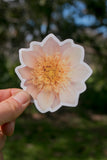 NEW Dahlia Sticker Medium - Everbloom Lioness - Matte waterproof vinyl