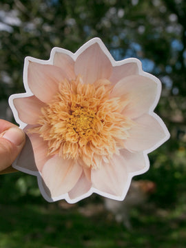 Dahlia Sticker Large - Everbloom Lioness - Matte waterproof vinyl