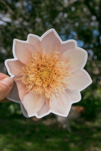 NEW Dahlia Sticker Large - Everbloom Lioness - Matte waterproof vinyl