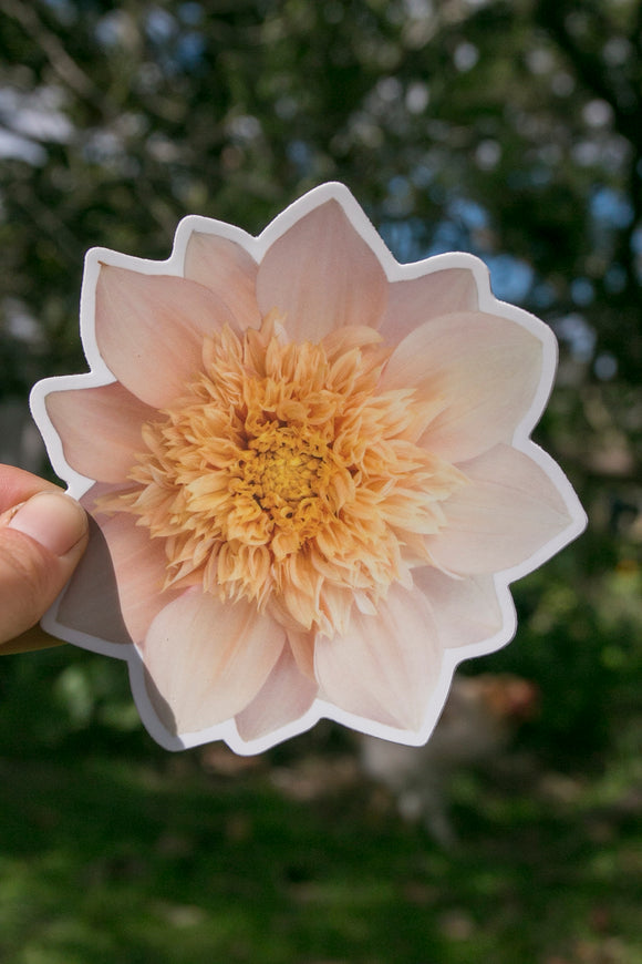 NEW Dahlia Sticker Large - Everbloom Lioness - Matte waterproof vinyl