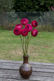 Everbloom Magenta Lace