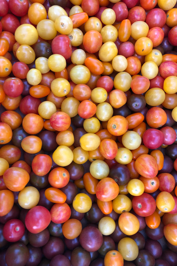 Tomato seeds -  Rainbow Cherry Tomato mix