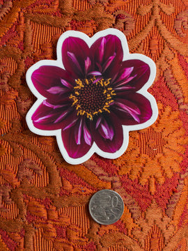 NEW Dahlia Sticker Large - Everbloom Dark Collerette - Waterproof vinyl