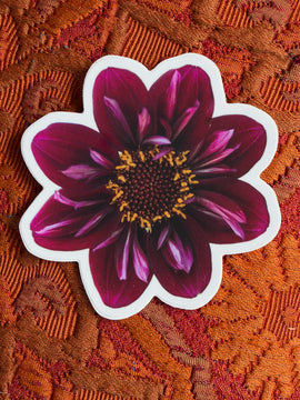 NEW Dahlia Sticker Large - Everbloom Dark Collerette - Waterproof vinyl