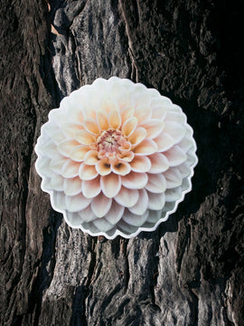 Dahlia Sticker Large - Everbloom Golden Orb - Matte waterproof vinyl