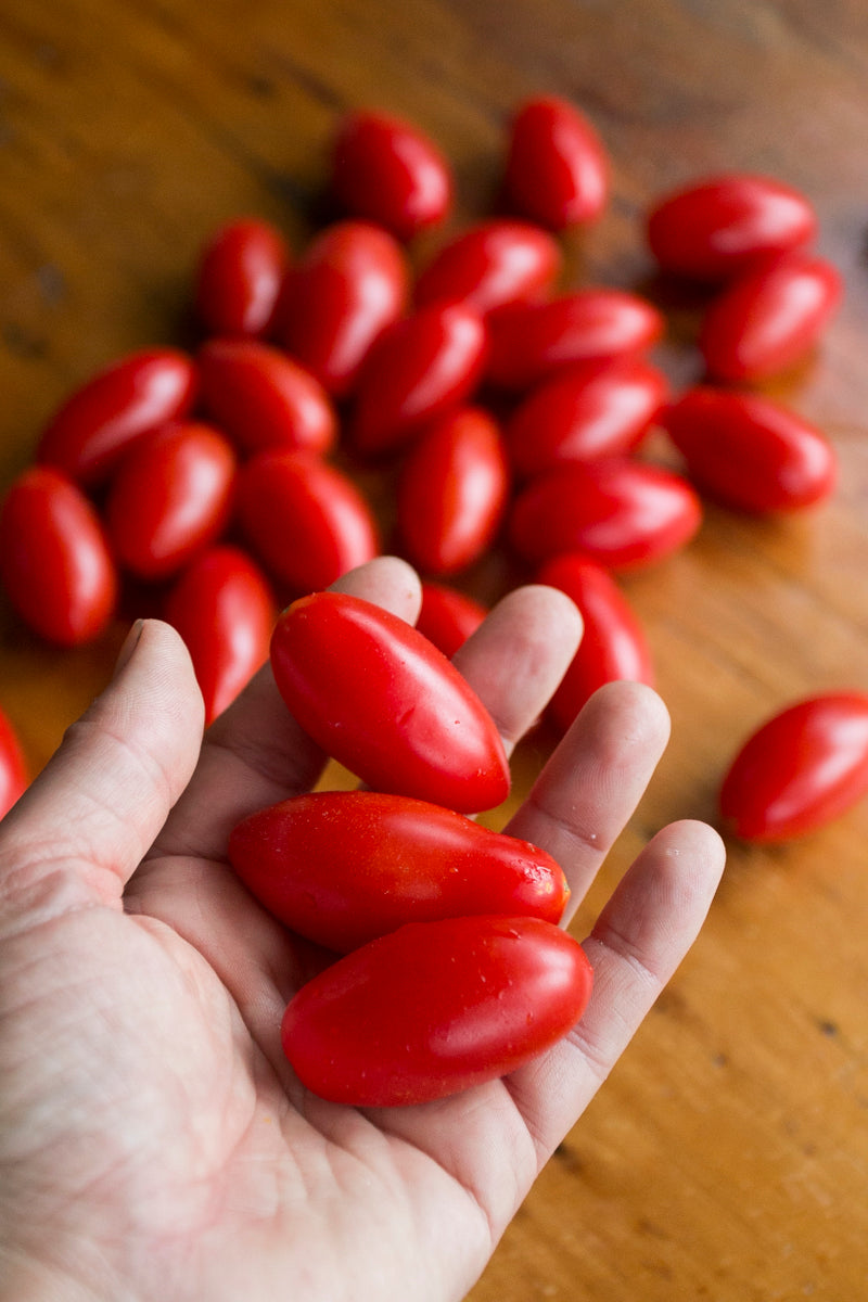Tomato seeds - Mini Amish Paste – New View Farmers