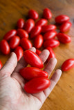 Tomato seeds -  Mini Amish Paste