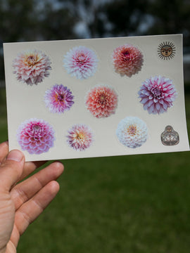 Dahlia Sticker sheet - Decorative - Waterproof vinyl