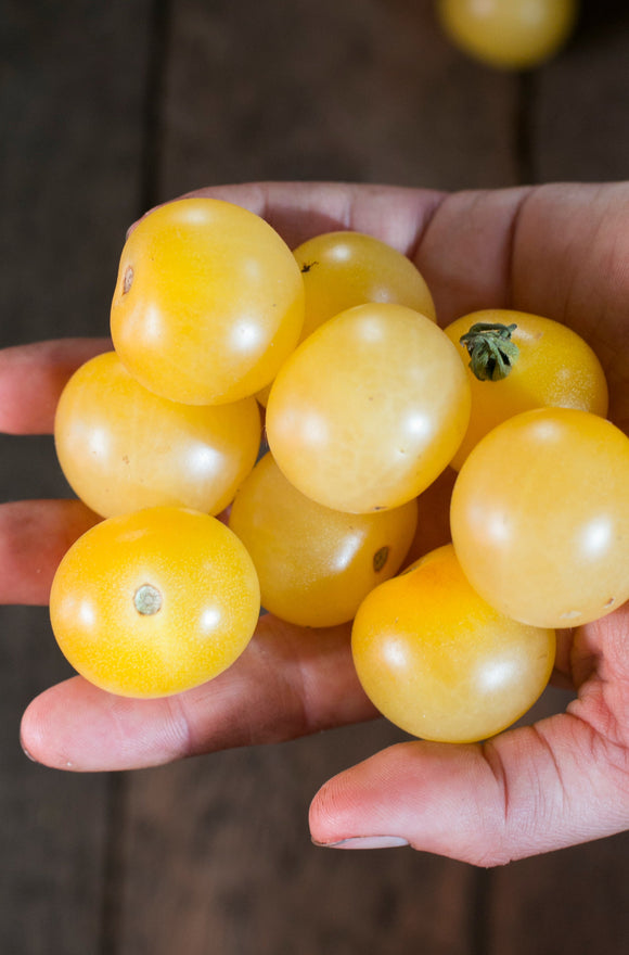 Tomato seeds - Lemon Drop
