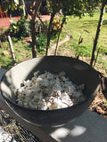 Mini Blue - popcorn seeds